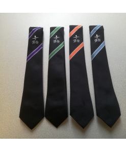 Torquay Academy - TA 6 FORM TIE, Torquay Academy 6th Form, Ties