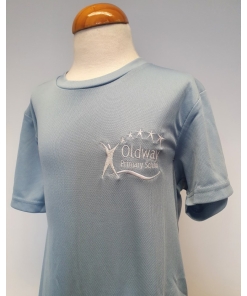 Oldway Primary School - OLDWAY PE T SHIRT, PE Kit