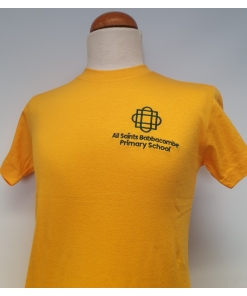 All Saints Babbacombe C of E Primary - ALL SAINTS PE T-SHIRT, All Saints Babbacombe