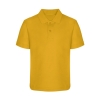 POLO SHIRT - DEEP GOLD, Uniform Items, Mayfield Chestnut Centre, Plain School Wear