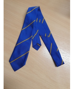 ROYAL AND GOLD TS TIE, Sale Items, Ties