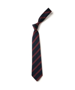 Canada Hill Primary School - Double Stripe Design Navy/Red Tie DS101, Ties, Canada Hill Primary School
