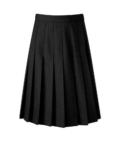Stitchdown Pleated Skirt (Banner Davenport), Sale Items, Torquay Academy 6th Form, Skirts & Pinafores, Years 7 to 11