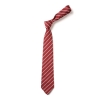 Warberry C of E Academy - Thin Stripe Design Red White Tie TS29, Warberry C of E Academy, Ties
