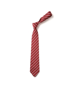 Warberry C of E Academy - Thin Stripe Design Red White Tie TS29, Warberry C of E Academy, Ties