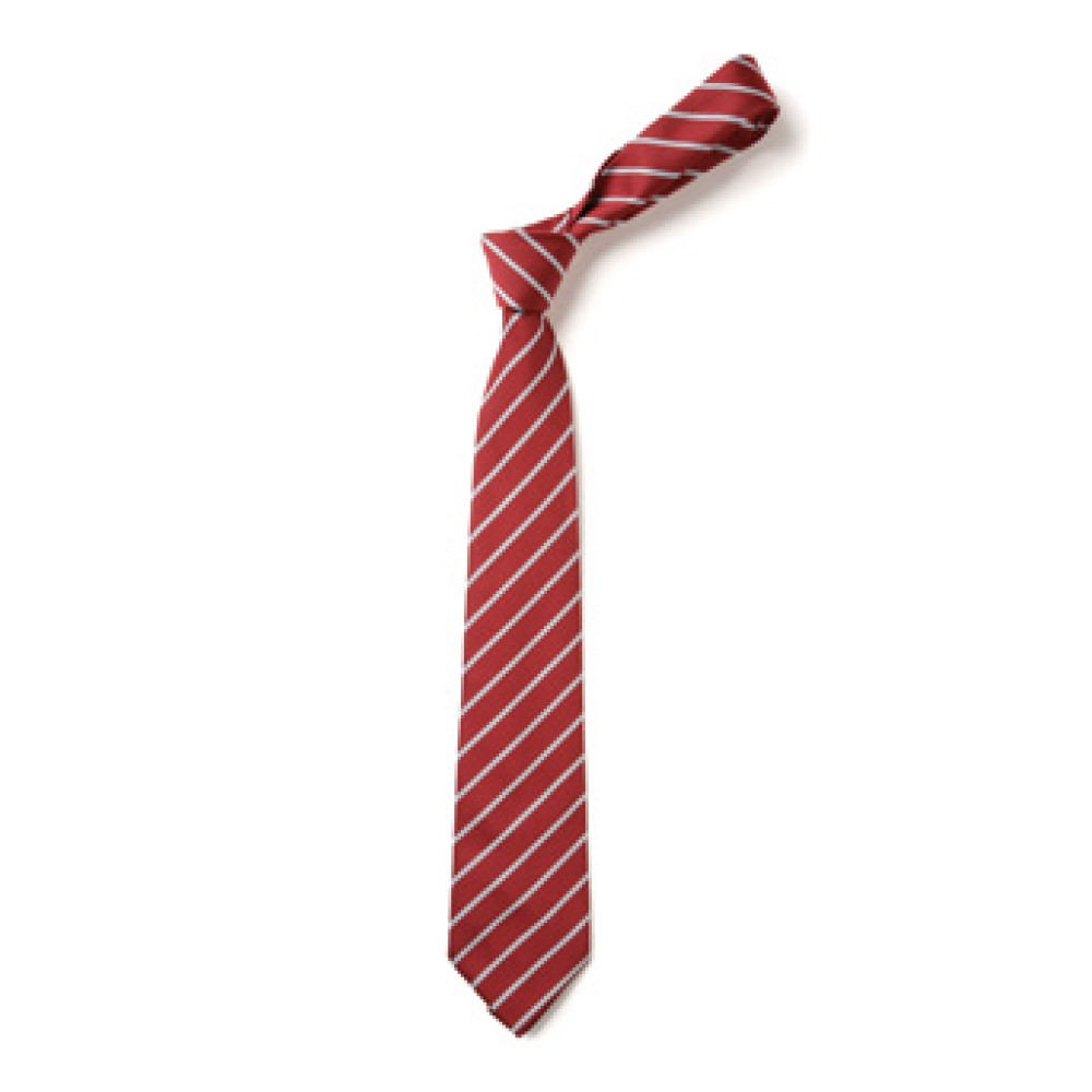 Warberry C of E Academy - Thin Stripe Design Red White Tie TS29, Warberry C of E Academy, Ties