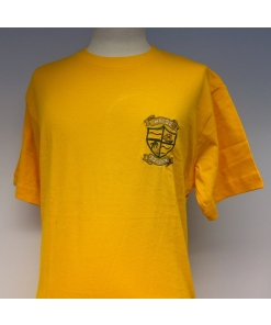 Hayes Primary School - HAYES PE T SHIRT, Hayes School